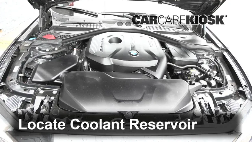 2019 BMW 230i xDrive 2.0L 4 Cyl. Turbo Coupe Refrigerante (anticongelante)